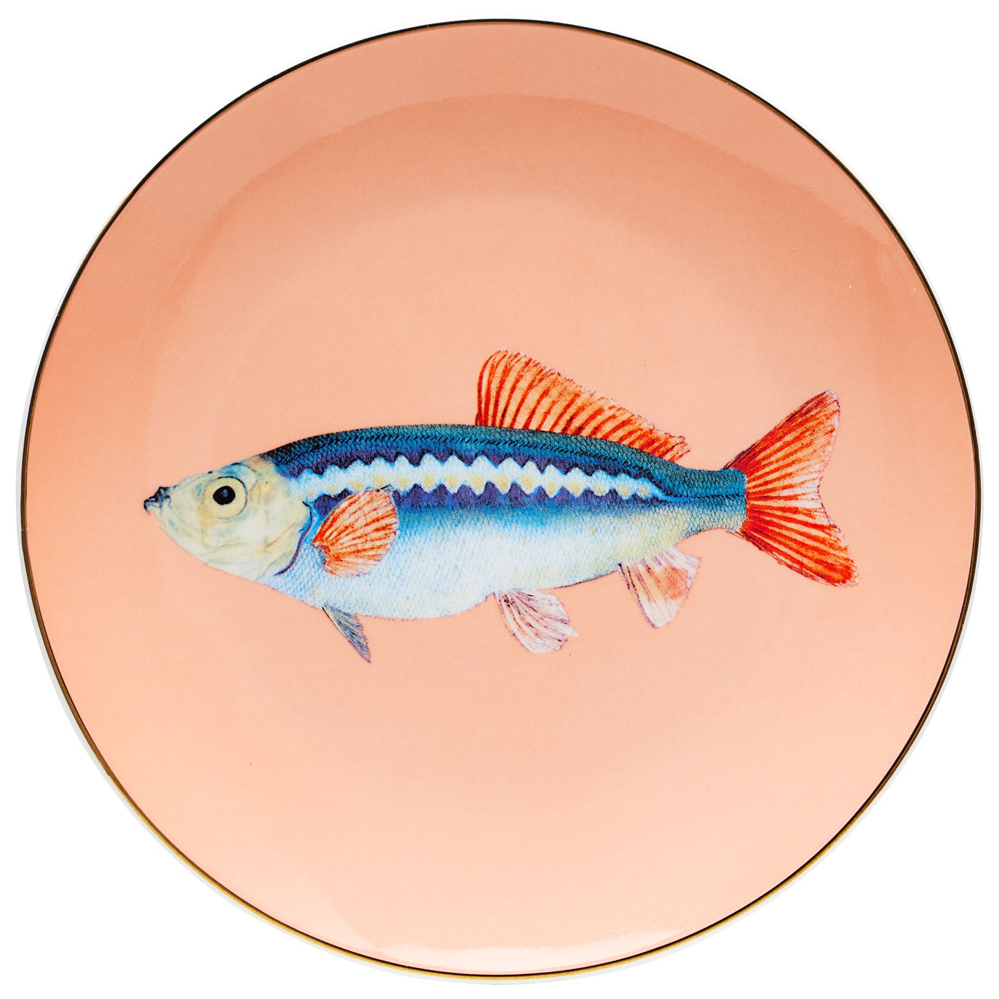 Golden Fish Plate 19cm Assorted
