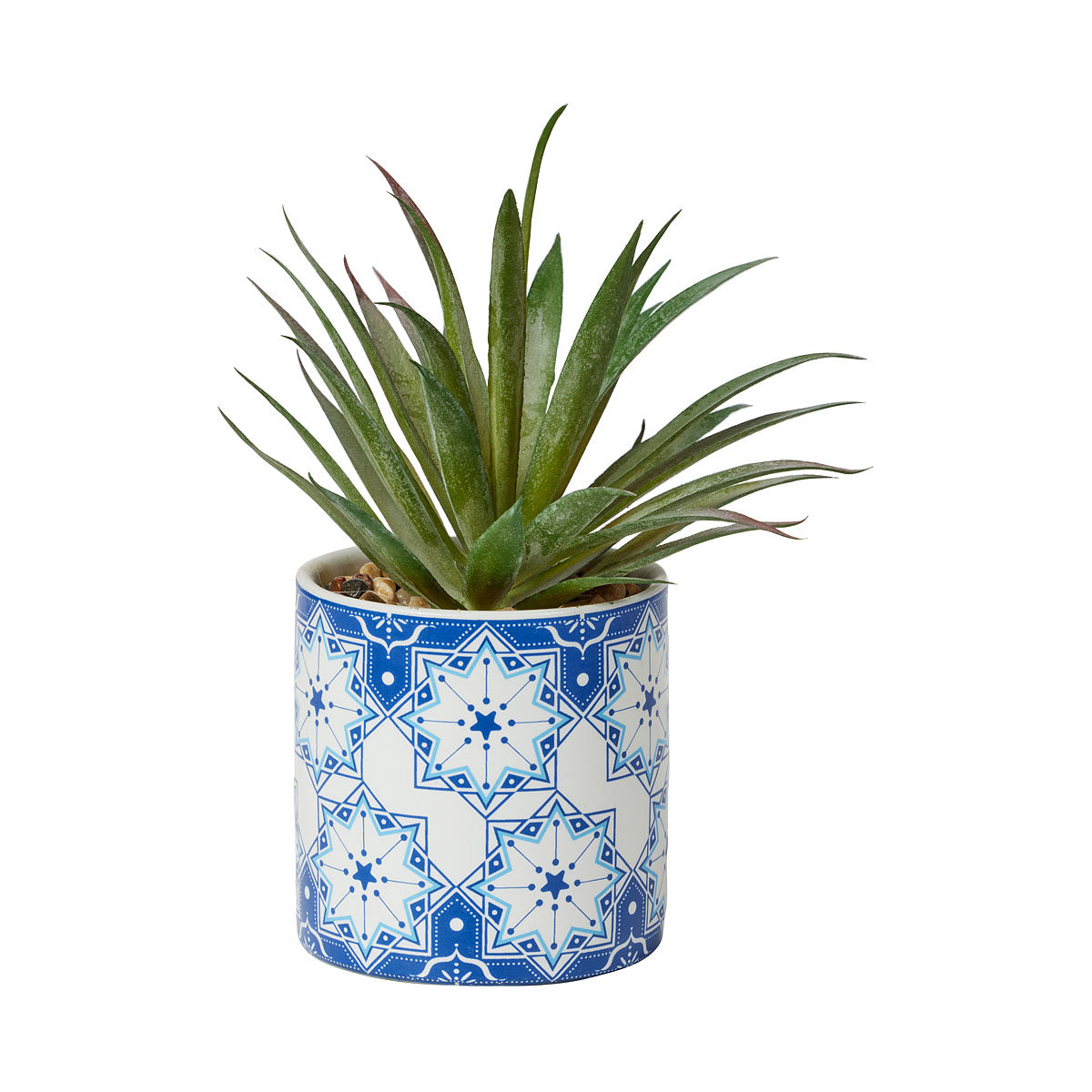 Faux Succulents in Geo Print Pot Assorted
