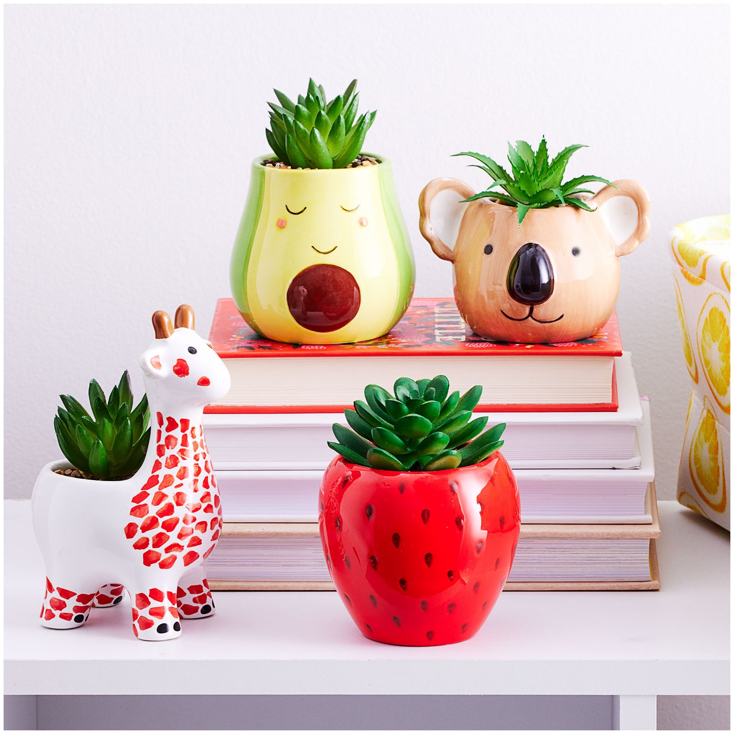 Novelty Koala Face Faux Succulent