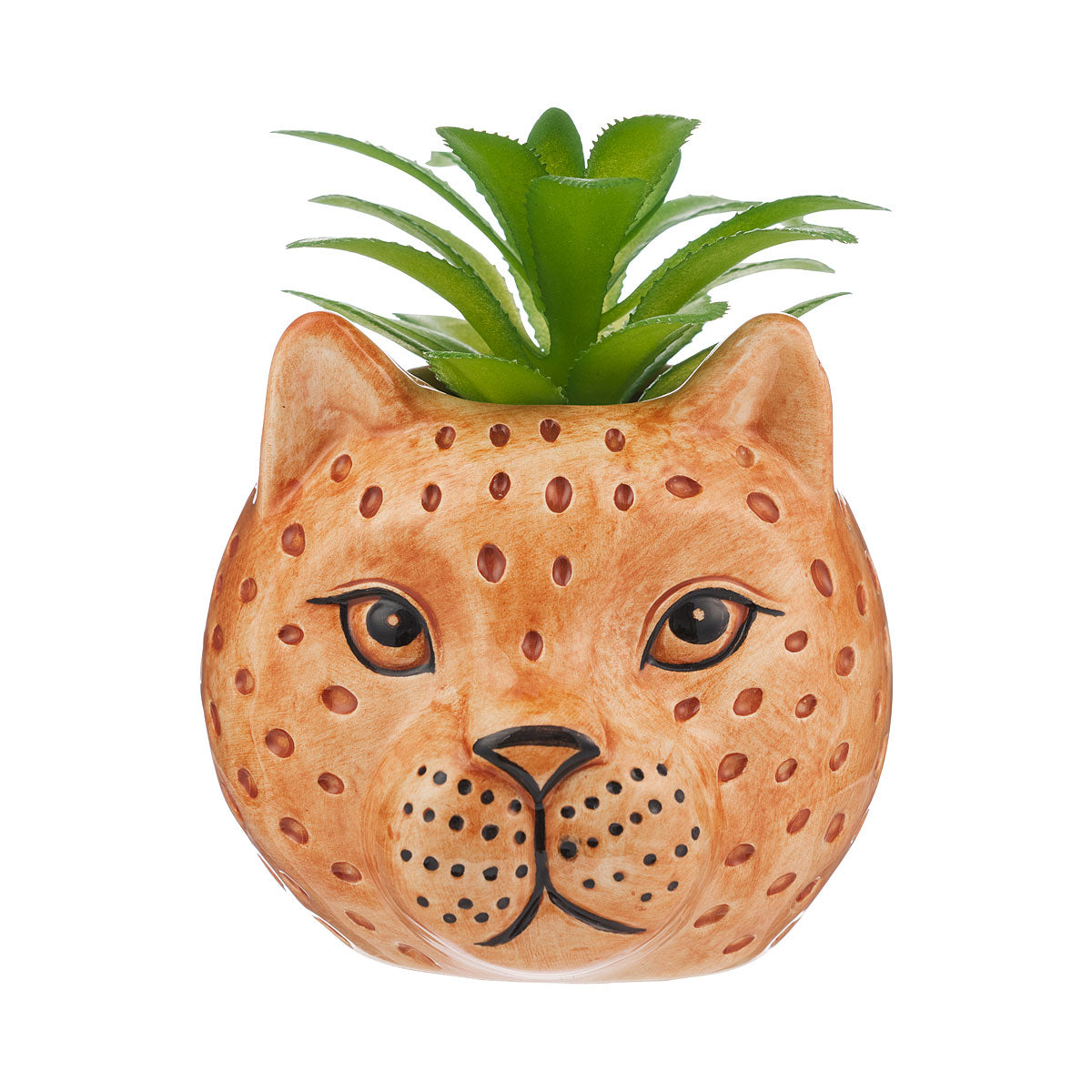 Novelty Leopard Head Faux Succulent