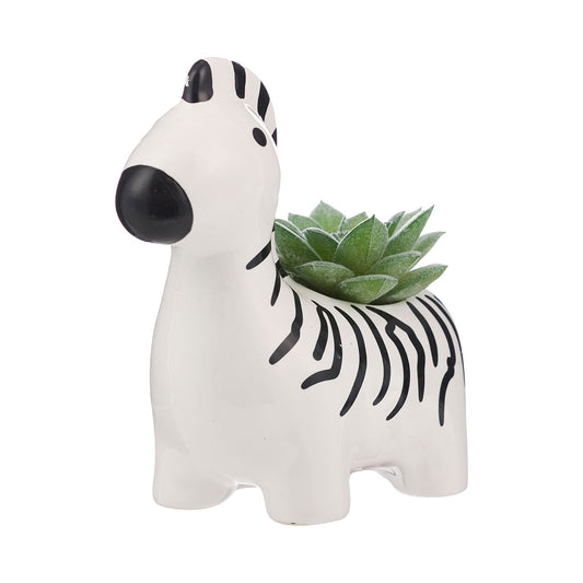 Novelty Zebra Faux Succulent