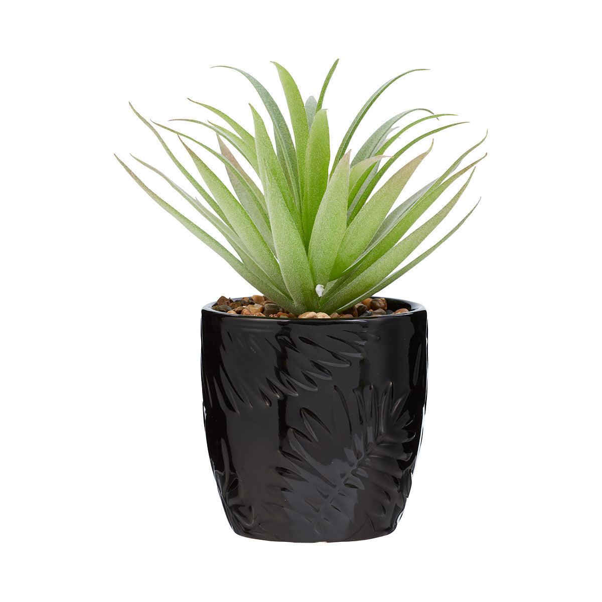 Faux Spiky Succulent In Palm Pot Green/Black