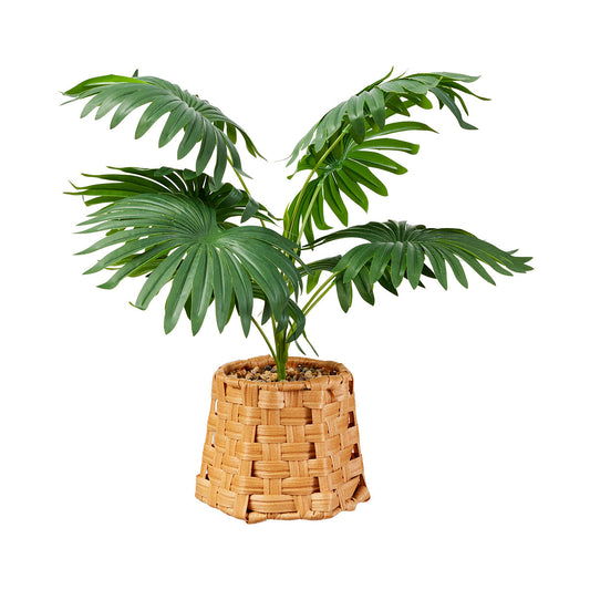 Faux Palm In Woven Pot