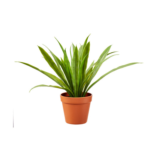 Faux Spike Palm In Pot