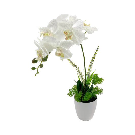 Faux White Orchid Plant 46cm