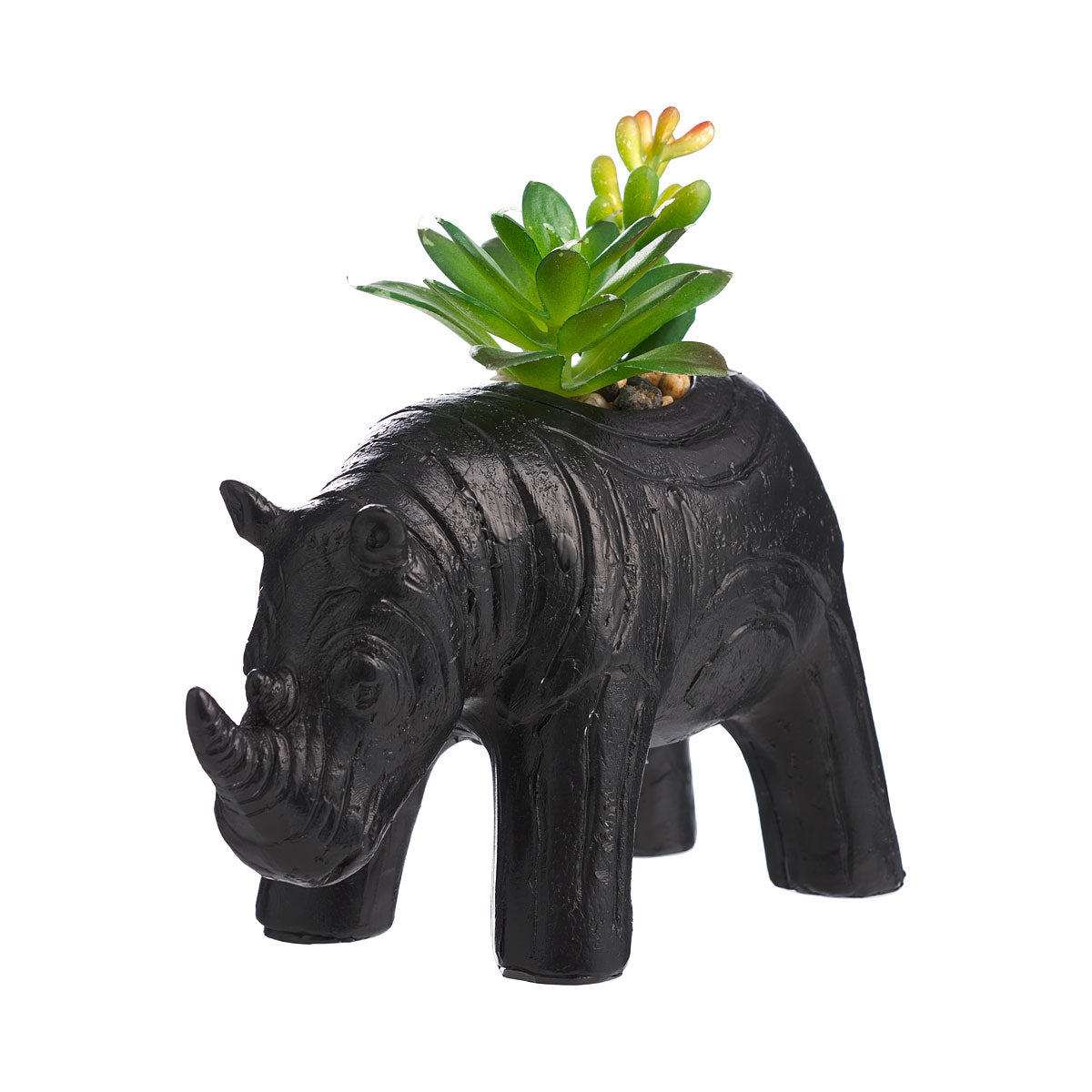 Novelty Rhino Faux Succulent Black