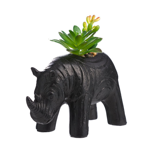 Novelty Rhino Faux Succulent Black
