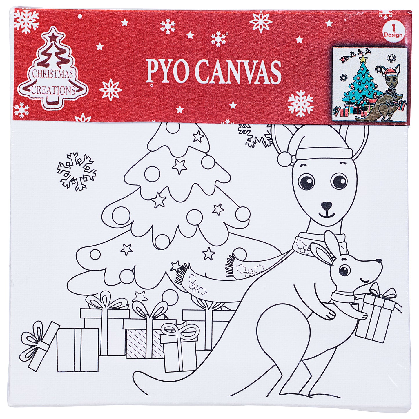 Canvas & Paint Set Assorted