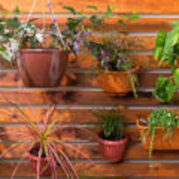 How to Create a Vertical Wall Garden