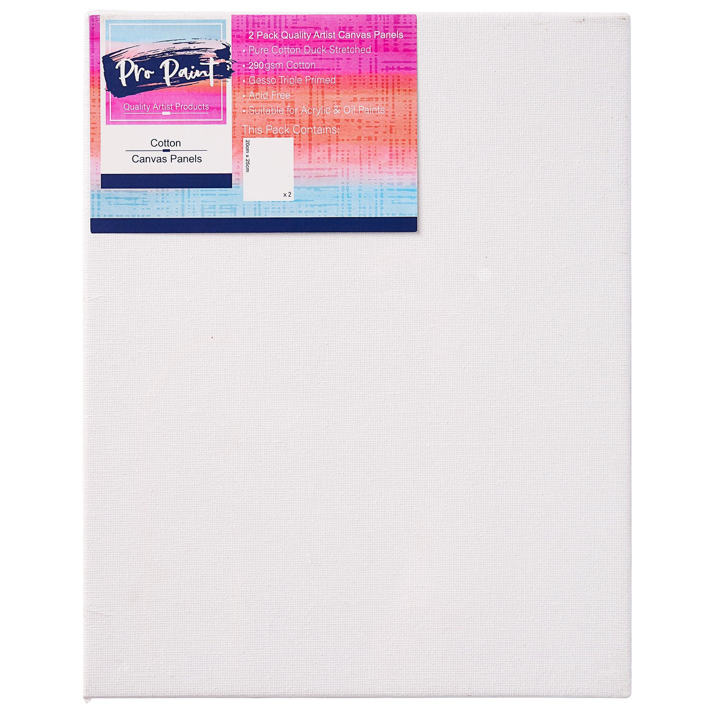 Canvas Panels 290gsm Cotton 2pk 20x25cm