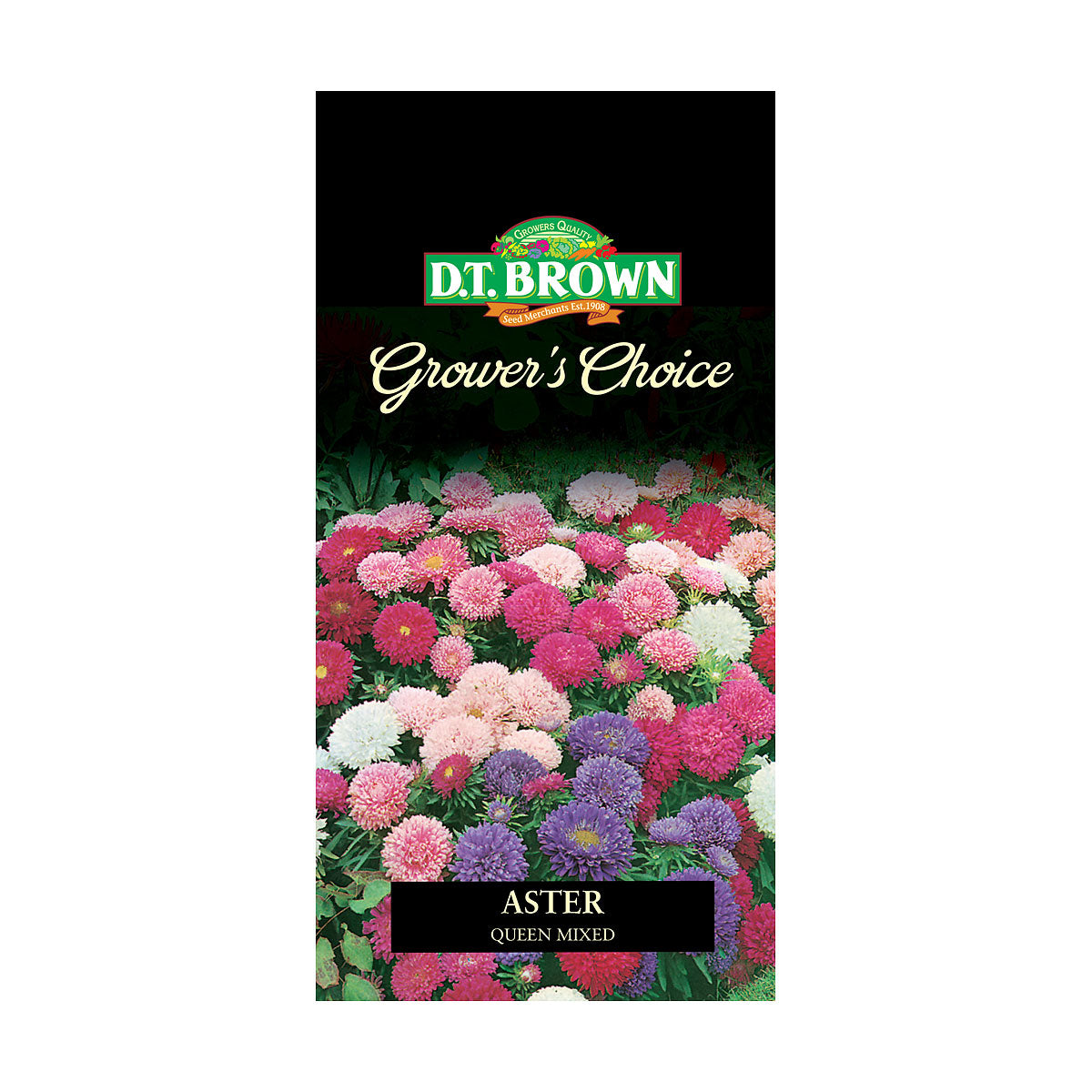 DT Brown Premium Seeds Variety