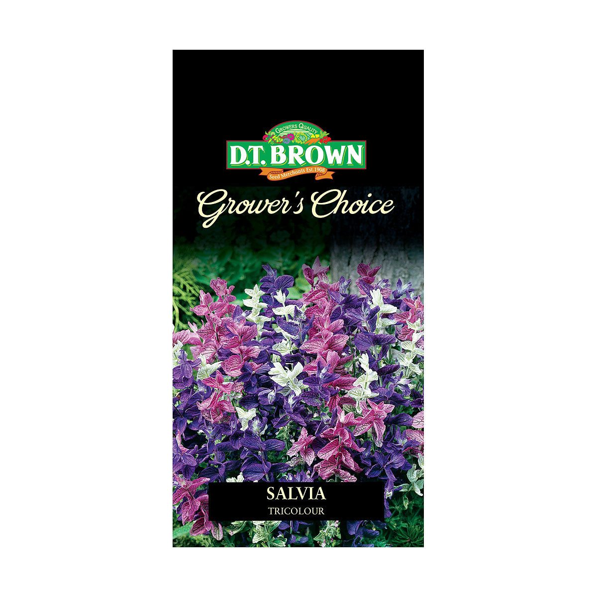DT Brown Premium Seeds Variety