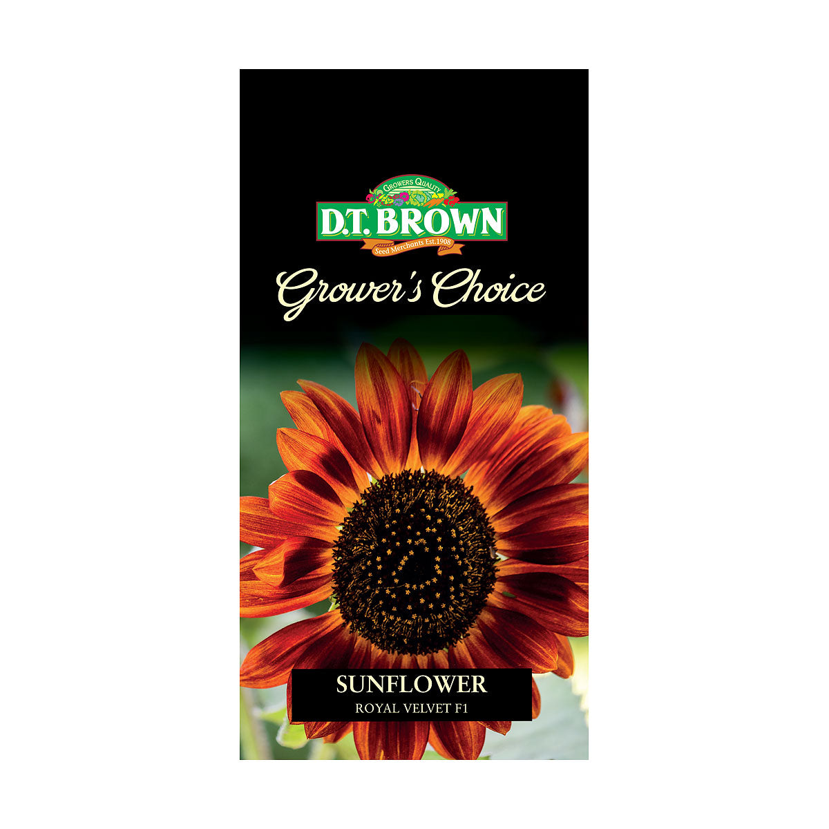 DT Brown Premium Seeds Variety