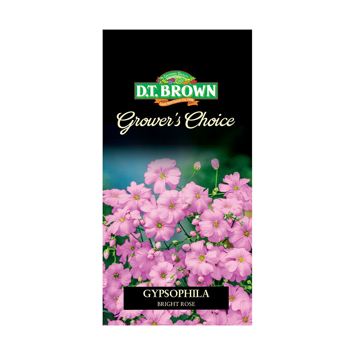 DT Brown Premium Seeds Variety