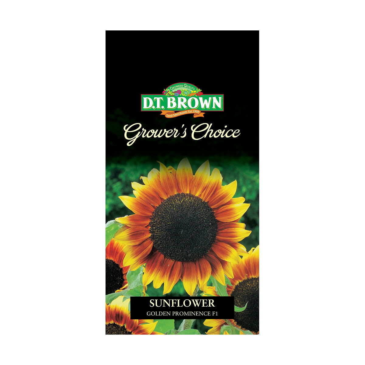 DT Brown Premium Seeds Variety