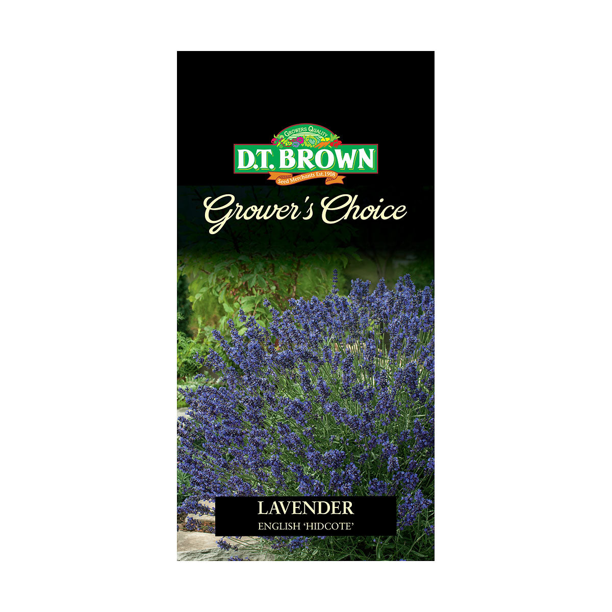 DT Brown Premium Seeds Variety