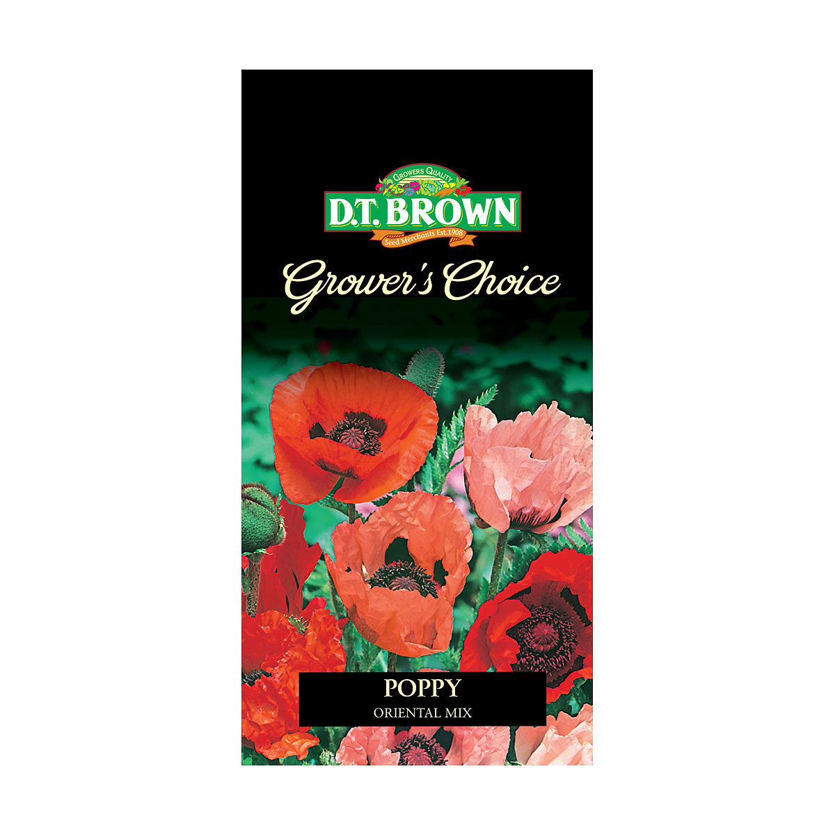 DT Brown Premium Seeds Variety