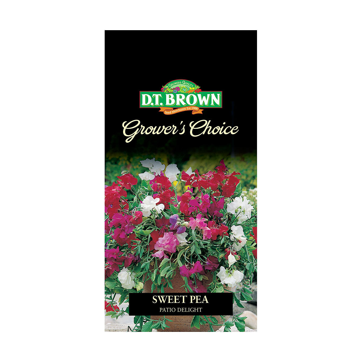 DT Brown Premium Seeds Variety