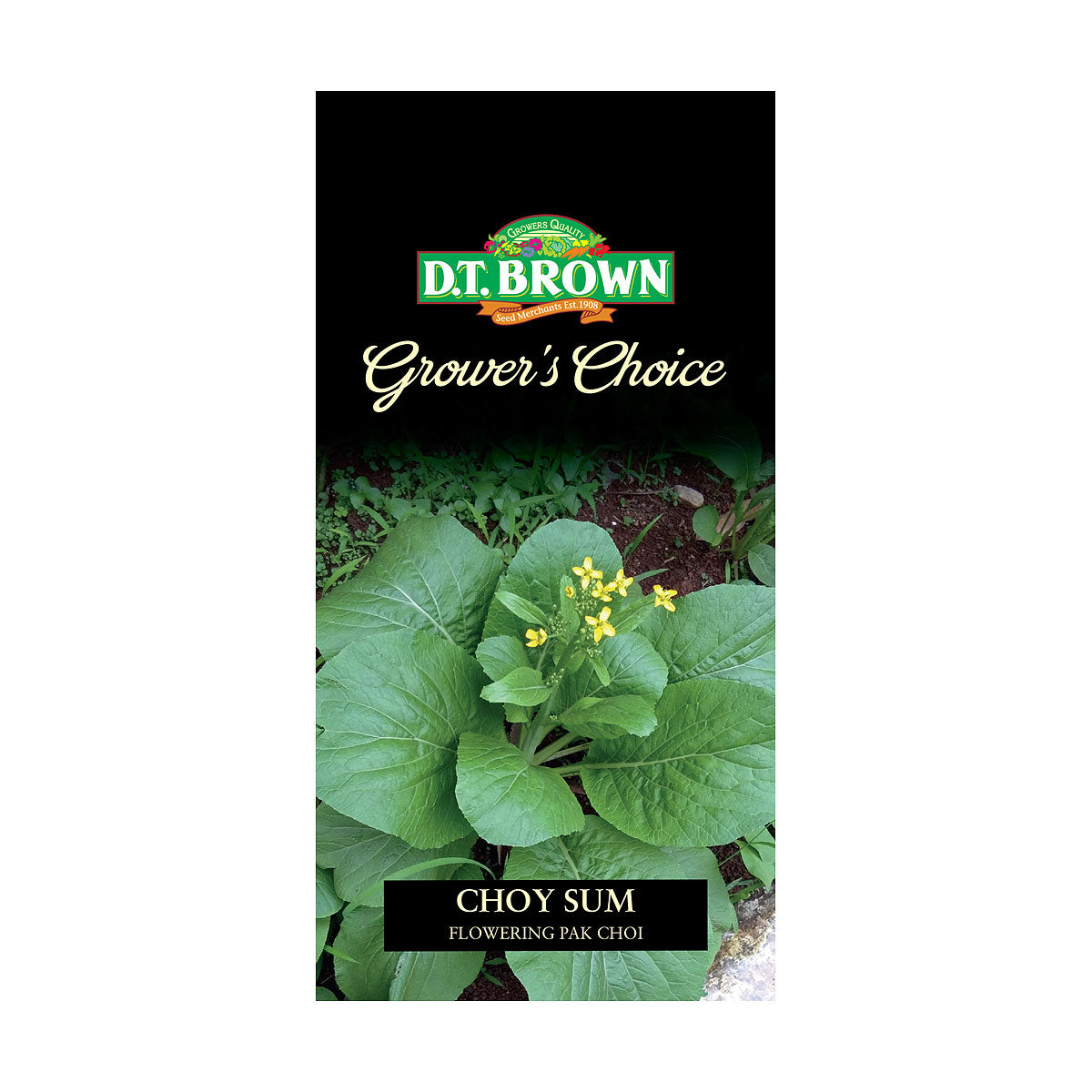 DT Brown Premium Seeds Variety
