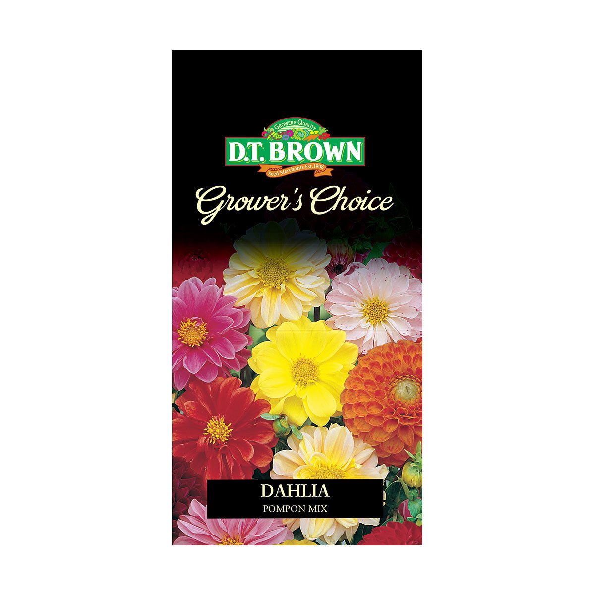 DT Brown Premium Seeds Variety