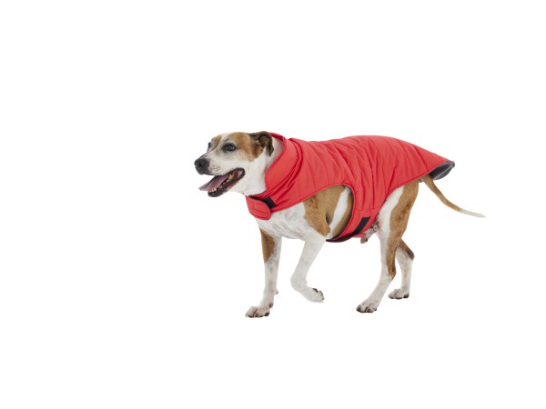 Dog Coat Danny Large