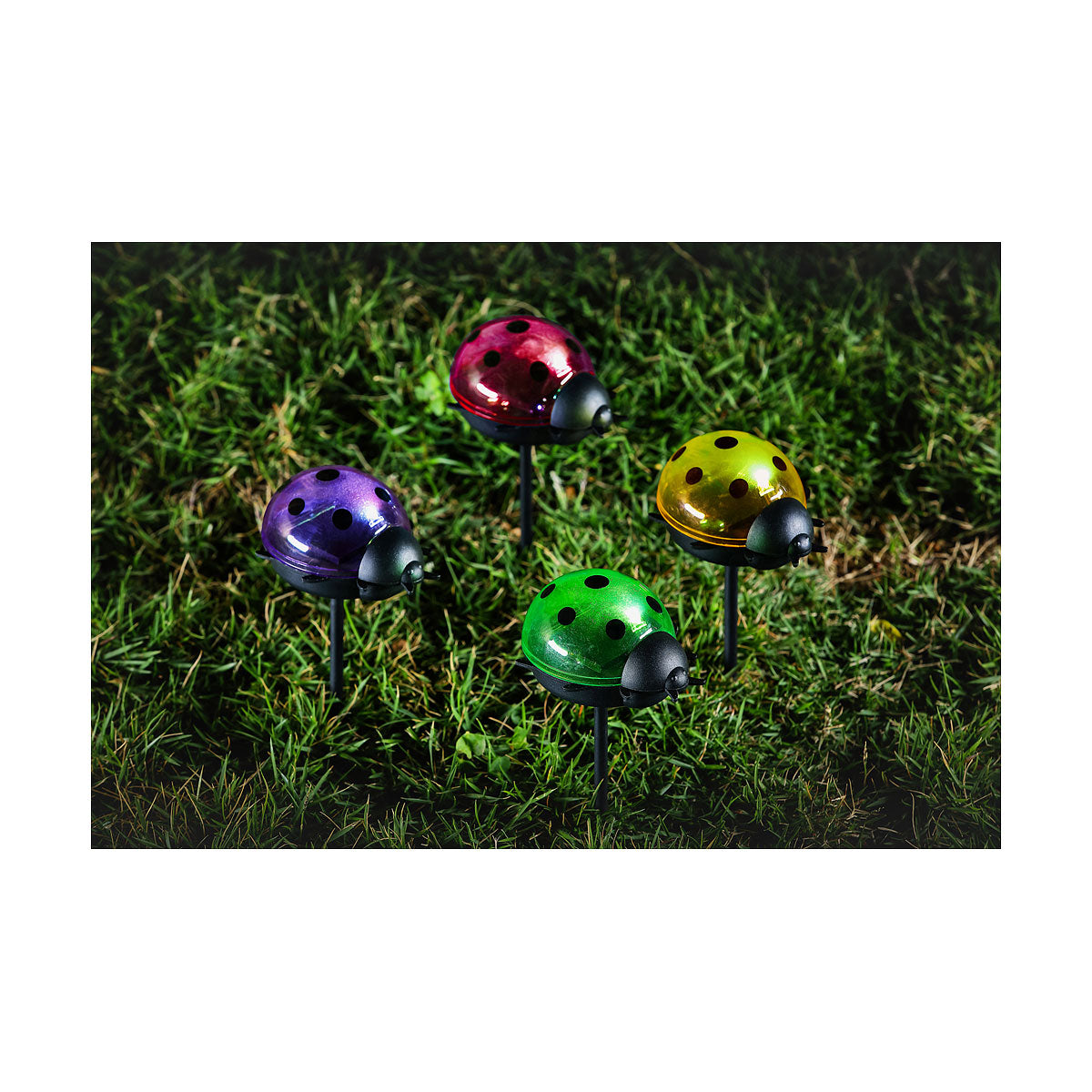 Solar Ladybug Light Assorted