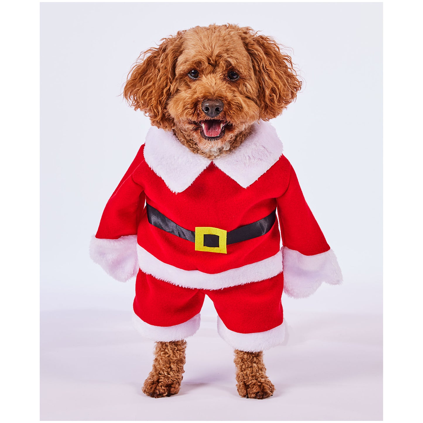 Christmas Pet Santa Costume Assorted