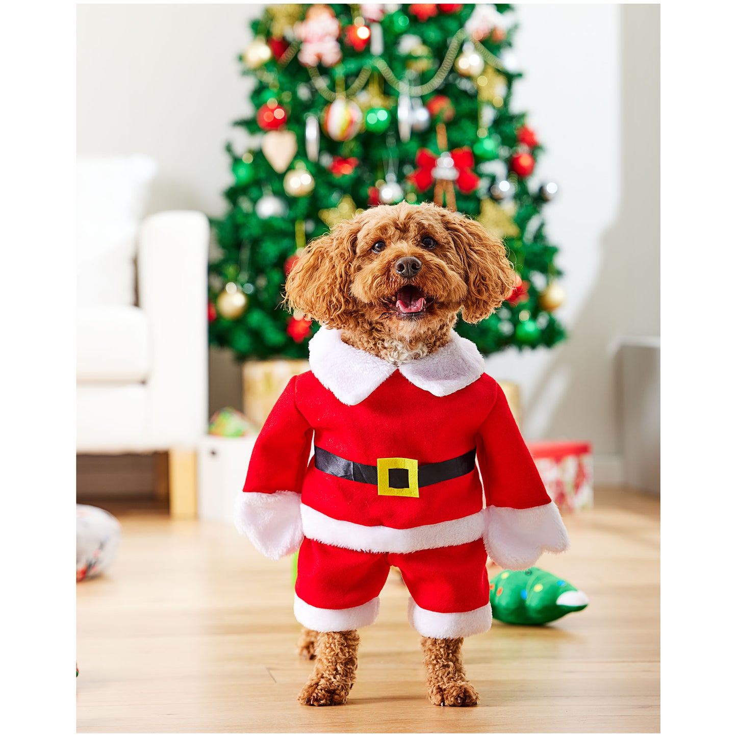 Christmas Pet Santa Costume Assorted