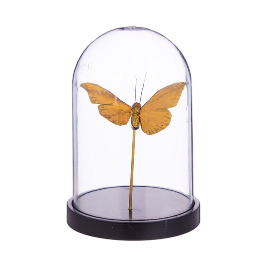 Butterfly Cloche