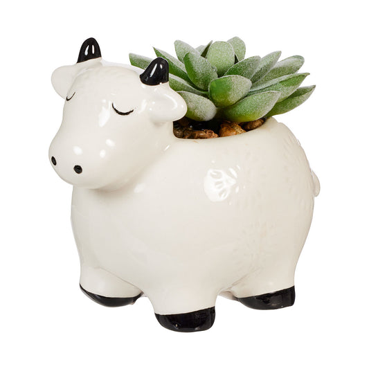 Novelty Faux Succulent Cow/Pig