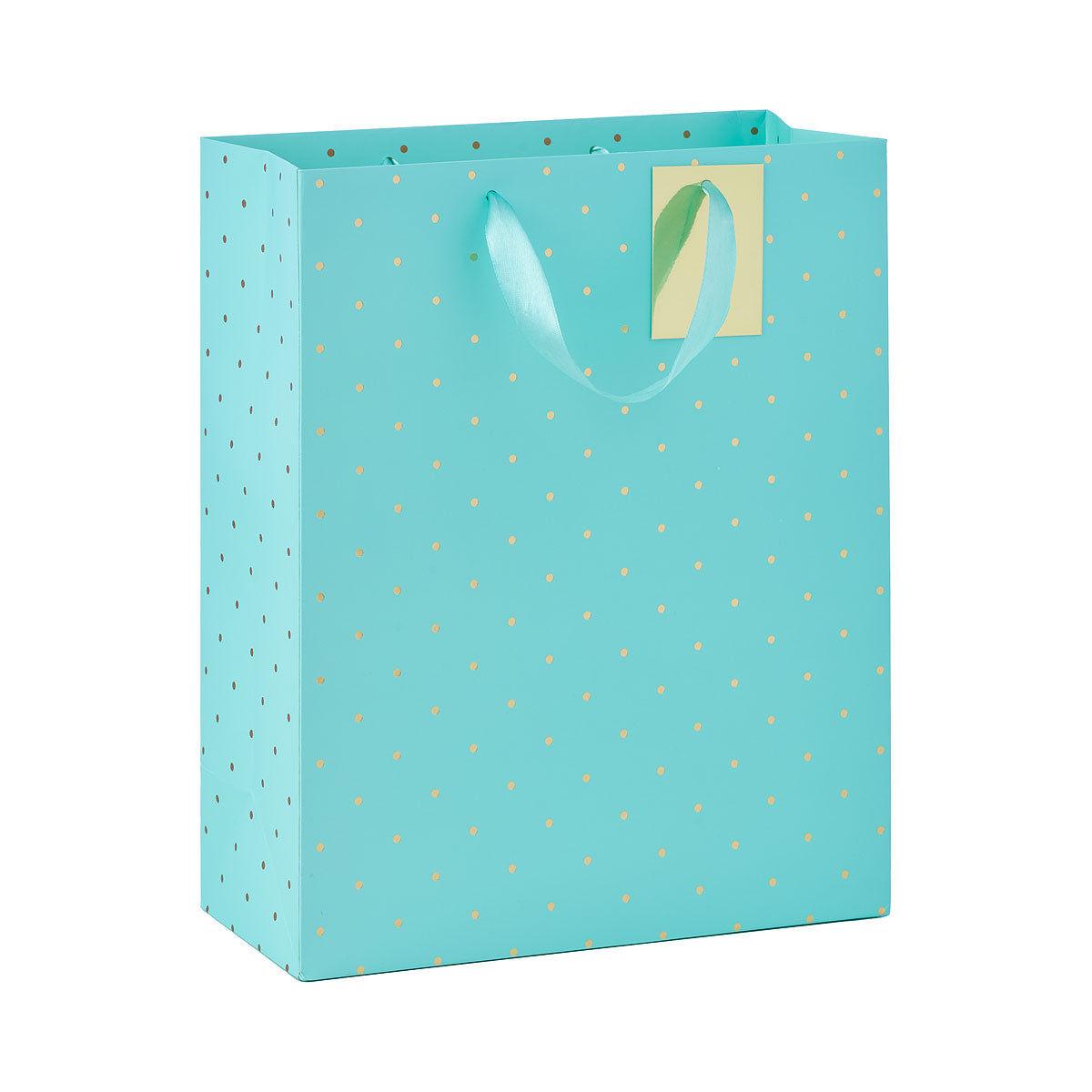 Foil Gift Bag with Golden Dots Pastel Large Assorted