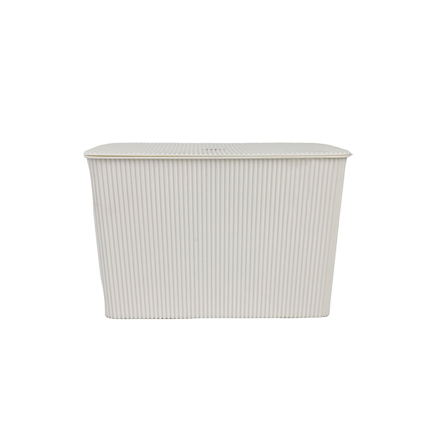 Corrie Basket with Lid White 17.5L