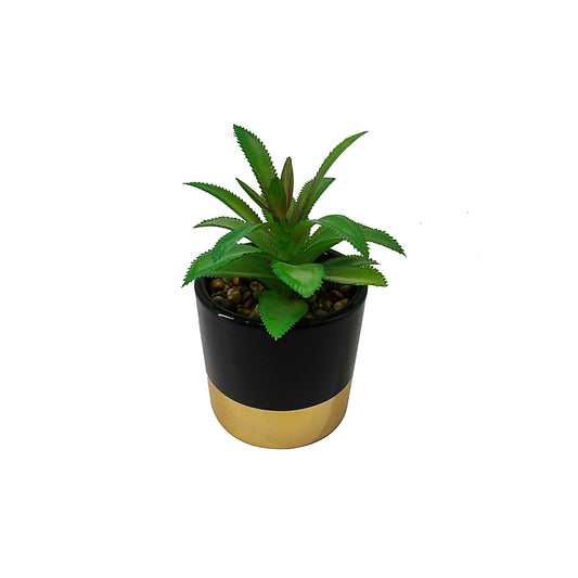 Faux Succulent in Pot Gold/Black Assorted