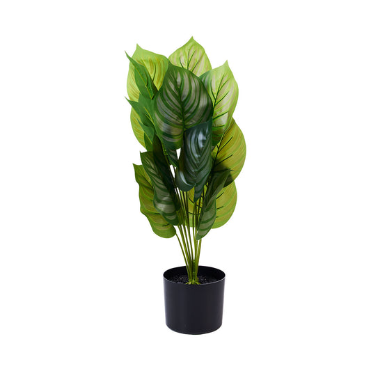 Faux Greenery Plant 60cm Assorted