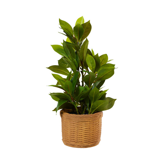 Faux Greenery Plant In Woven-Look Pot