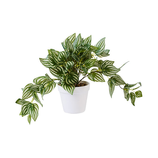 Faux Plant Stripe Leaf Cluster In White Pot