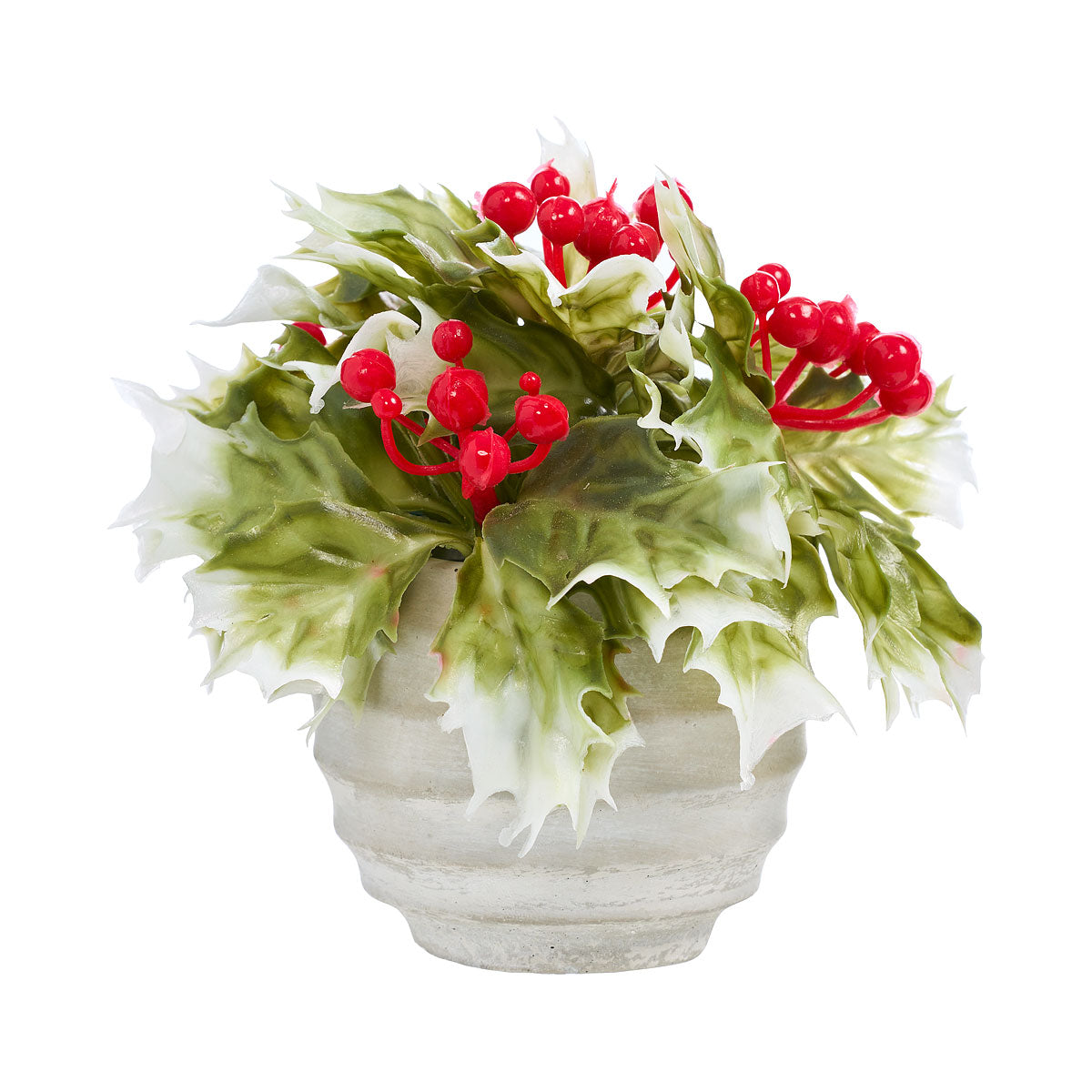 Christmas Potted Holly Small Assorted