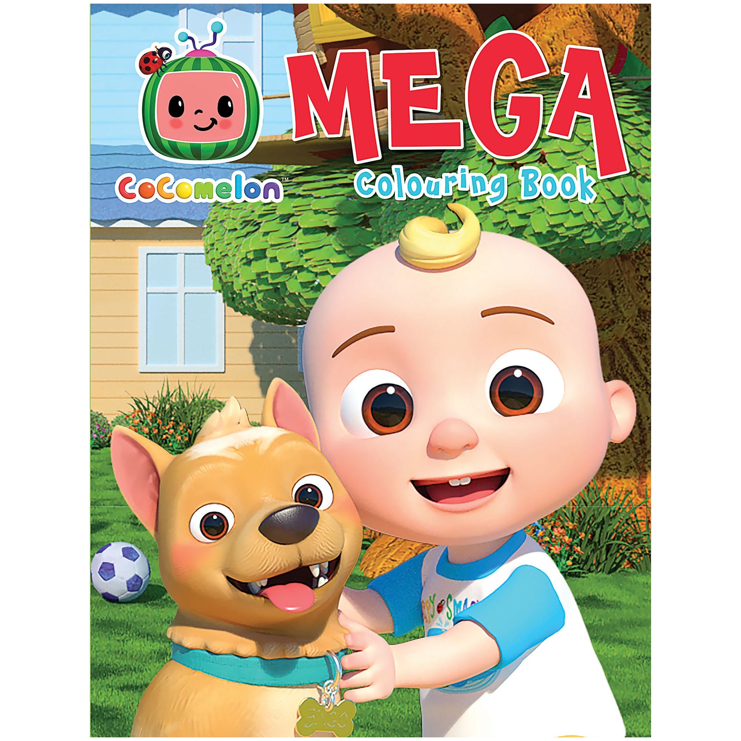 Mega Colouring Licensed Book Assorted