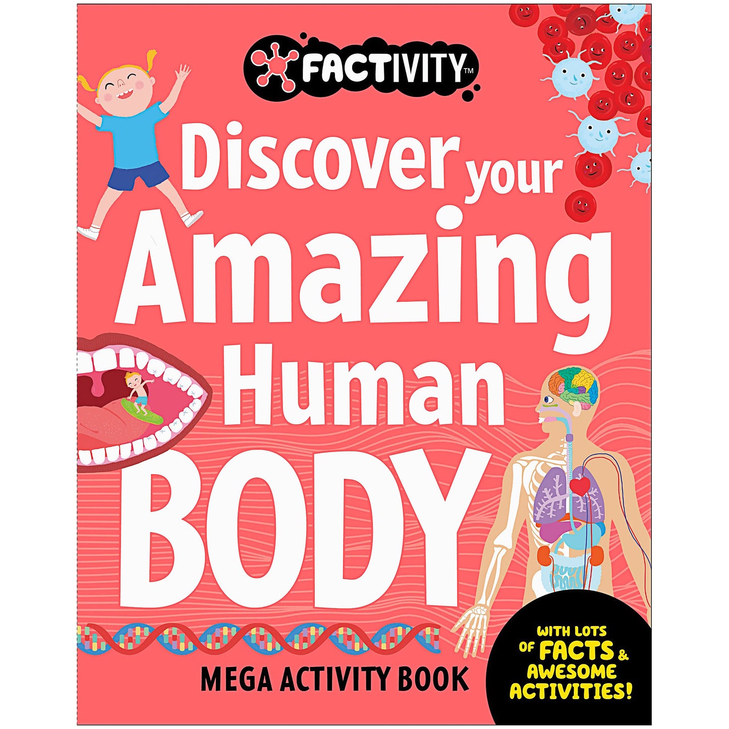 Factivity Discover Dinos/Human Body Book