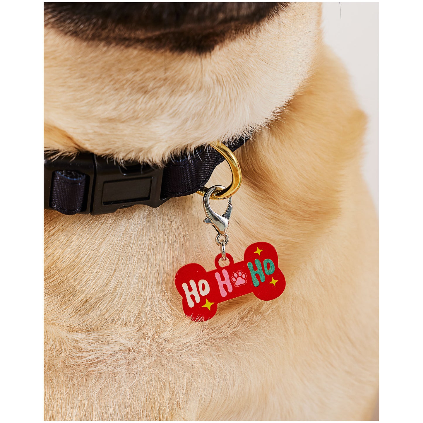 Christmas Santa Paws Tag Assorted