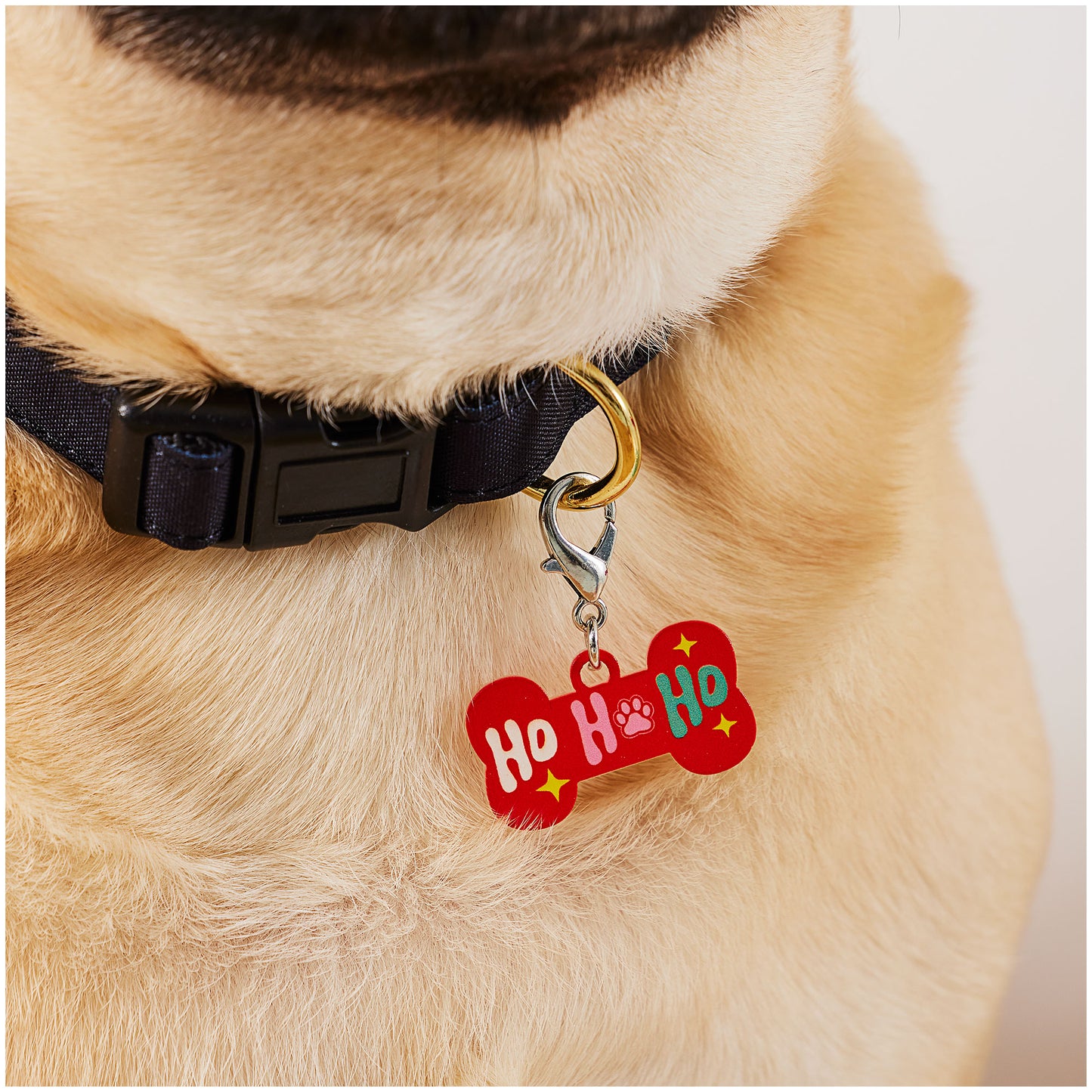 Christmas Santa Paws Tag Assorted