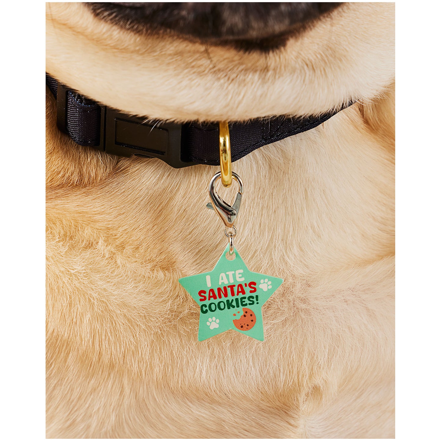 Christmas Santa Paws Tag Assorted