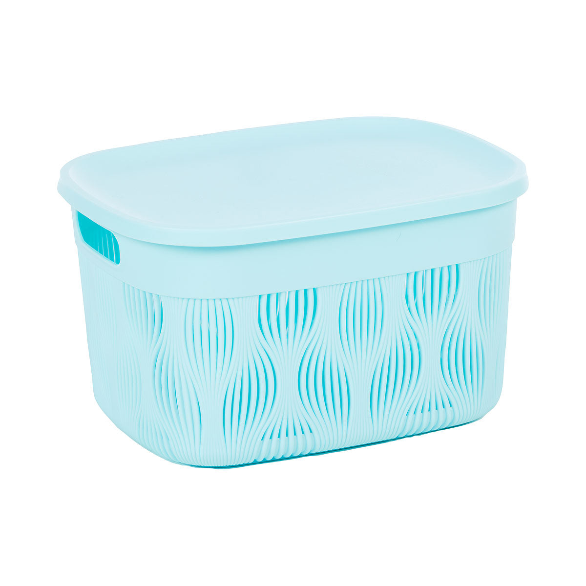 Tula Oval Basket With Lid 5.5L Assorted