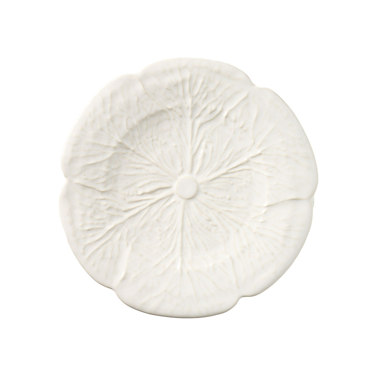 Cabbage Plate 21cm Assorted
