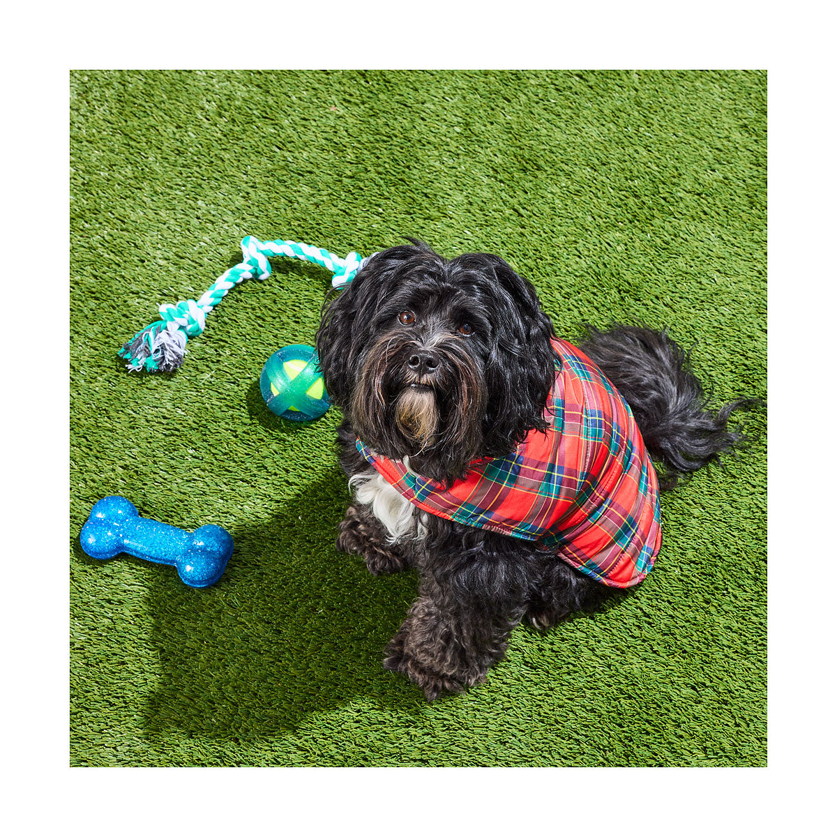 Pet Tartan Jacket Red/Green 30/40/50cm