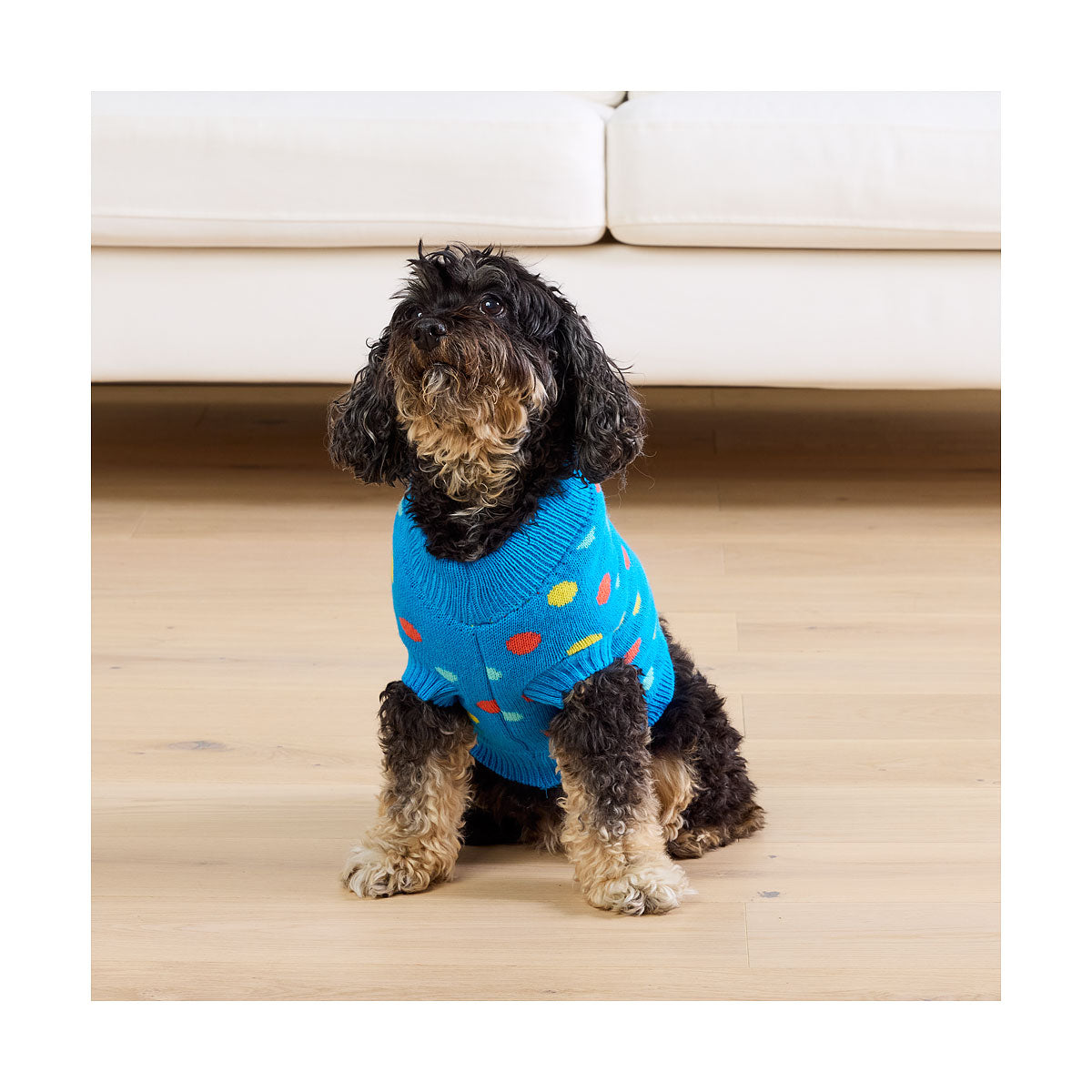 Waggi Pet Knit Orange Floral/Blue Spot 30/35/40/45cm