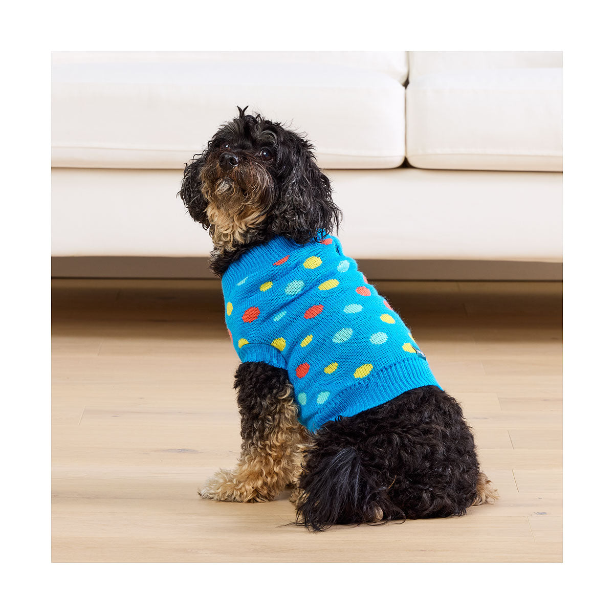 Waggi Pet Knit Orange Floral/Blue Spot 30/35/40/45cm