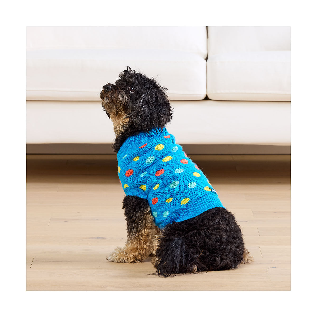 Waggi Pet Knit Orange Floral/Blue Spot 30/35/40/45cm