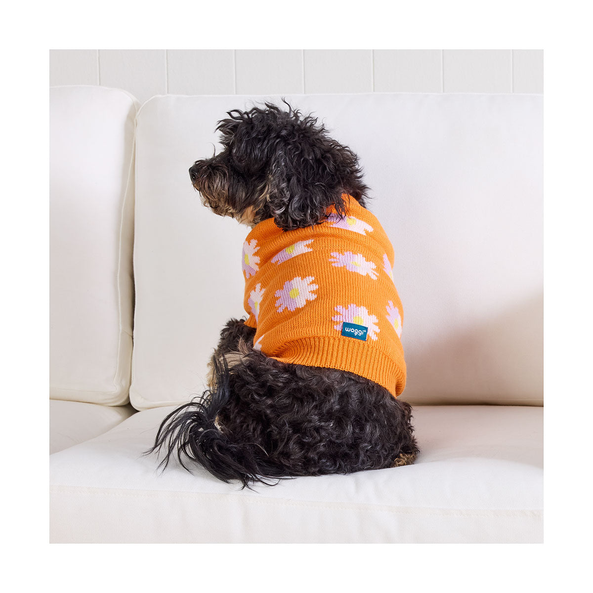 Waggi Pet Knit Orange Floral/Blue Spot 30/35/40/45cm