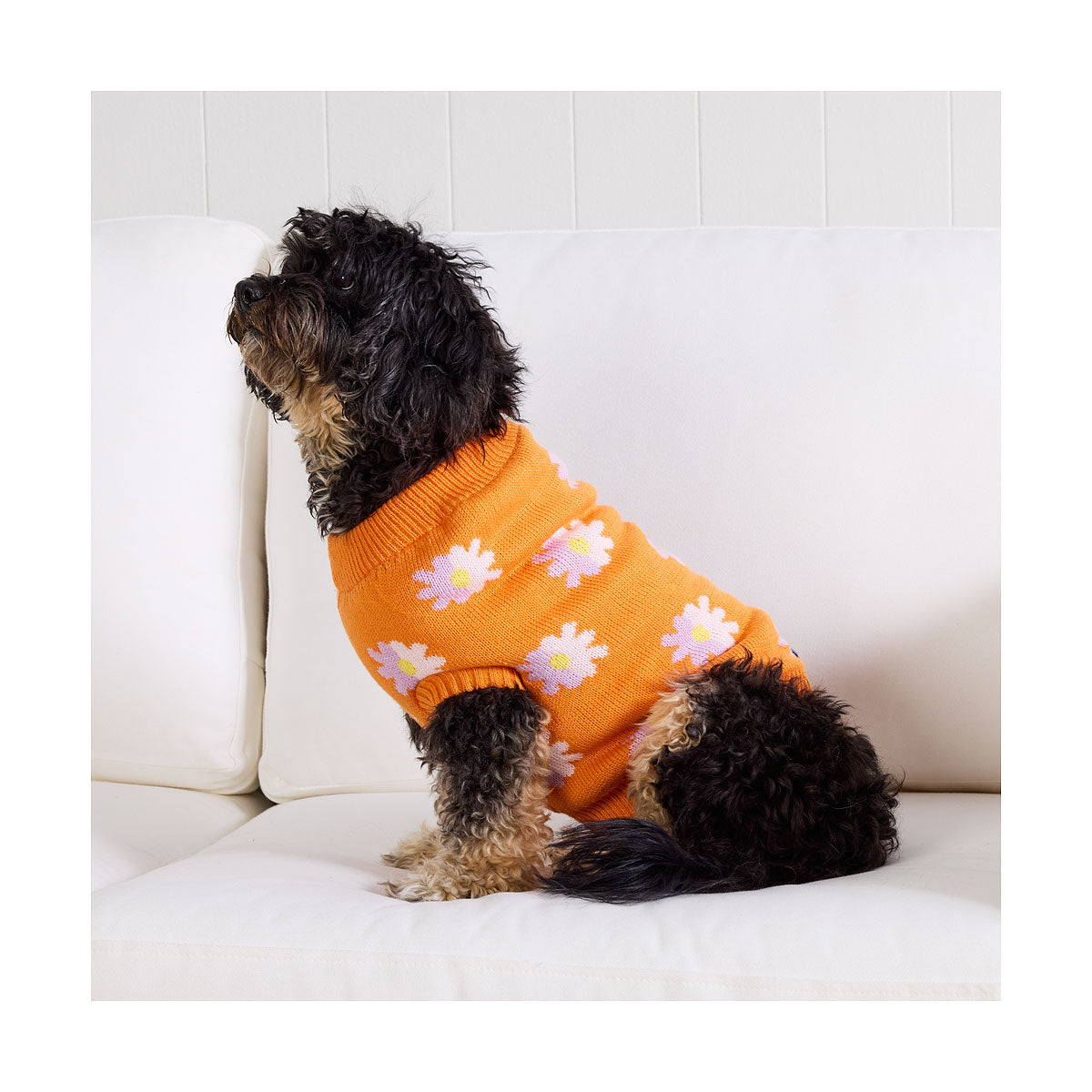 Waggi Pet Knit Orange Floral/Blue Spot 30/35/40/45cm